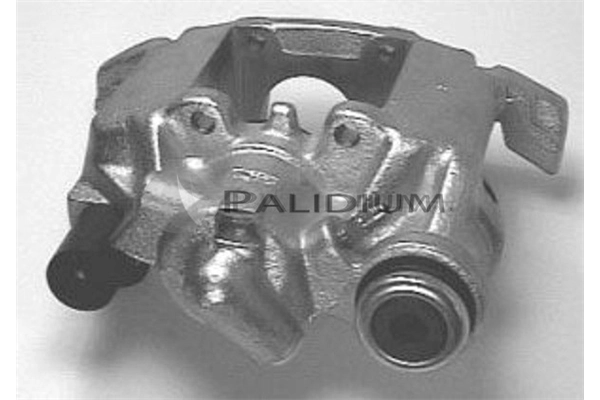 PAL41284 Ashuki