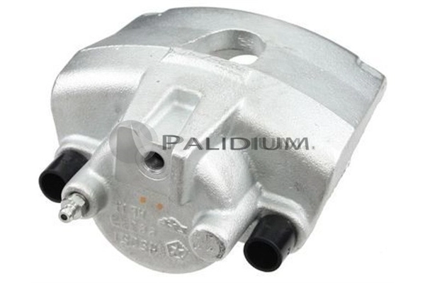 PAL41354 Ashuki