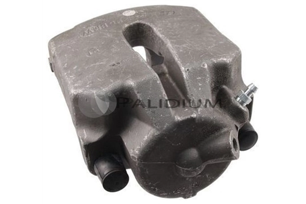 PAL41439 Ashuki