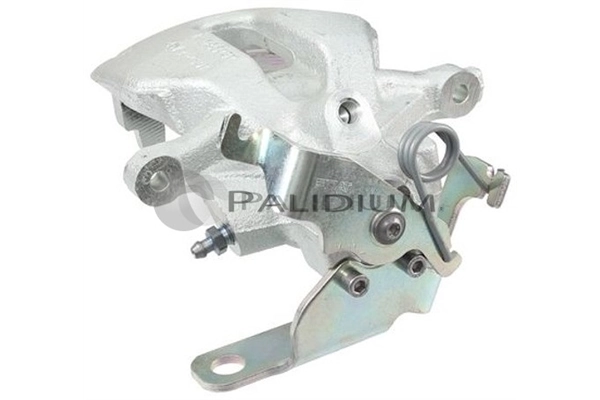 PAL41154 Ashuki