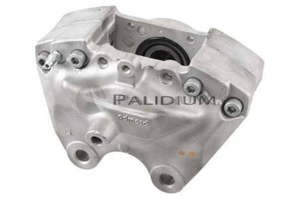 PAL41390 Ashuki