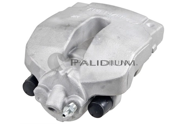 PAL41858 Ashuki