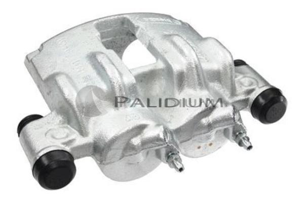PAL41145 Ashuki