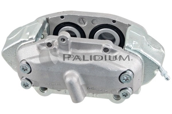 PAL41846 Ashuki