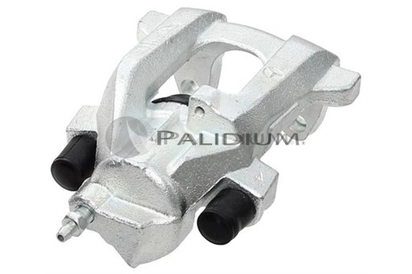 PAL41548 Ashuki