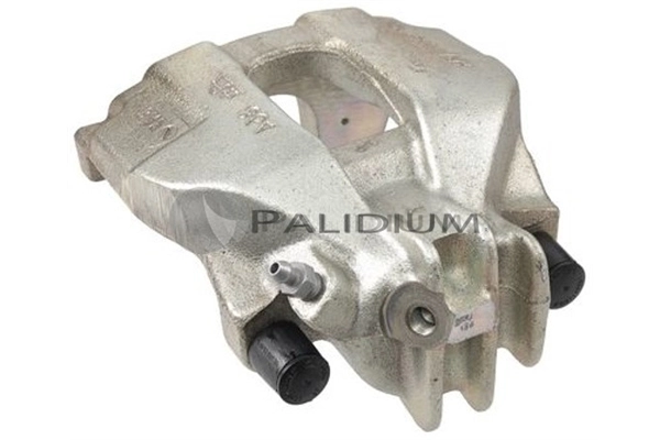 PAL41554 Ashuki