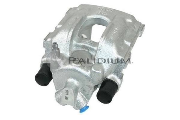PAL41462 Ashuki