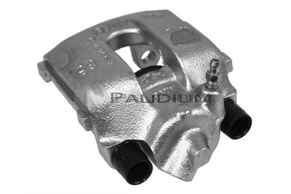 PAL41167 Ashuki