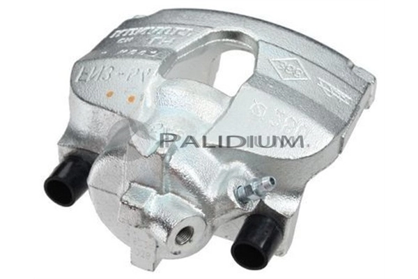 PAL41363 Ashuki