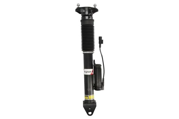 APM006MT Magnum Technology