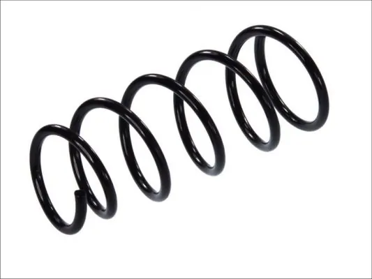 Muelles delantero para Renault Kangoo (FC0, FC1)