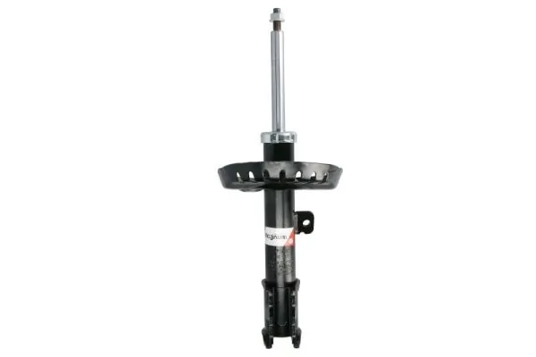 AGP144 Magnum Technology