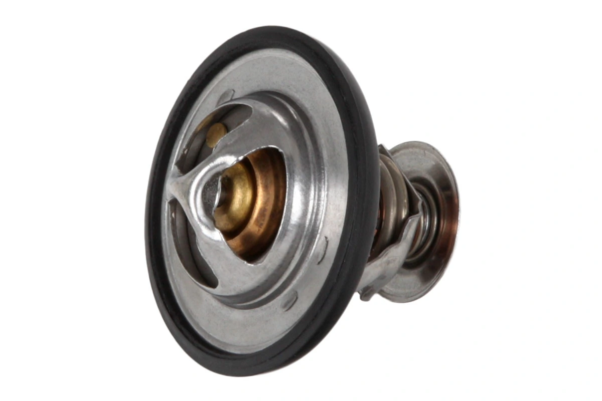 Termostato de agua Hyundai Matrix  (2001-2005)