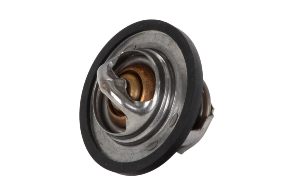 Comprar Termostato Ford Transit III V