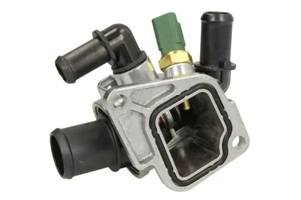 D2F007TT Thermotec Termostato de agua