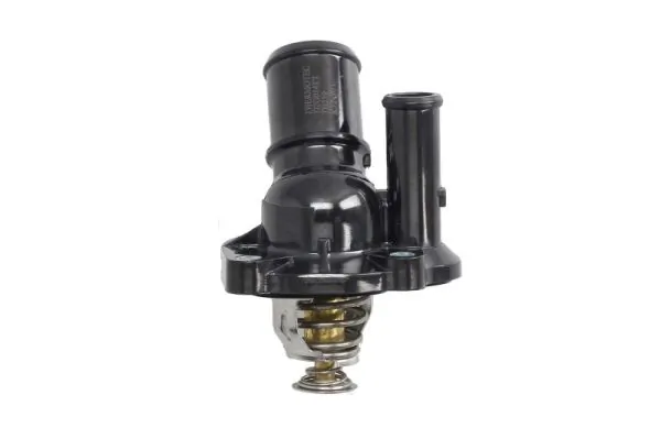 D2G014TT Thermotec Termostato de agua