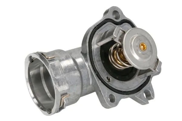 D2M011TT Thermotec Termostato de agua