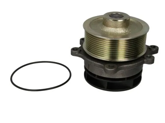 Comprar Bomba de agua para motor Stralis