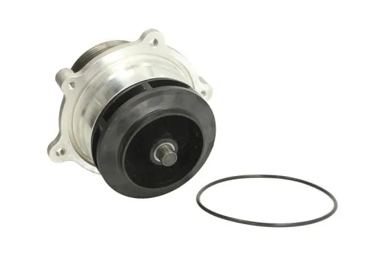 Comprar WPDF113 Thermotec Bomba de agua para motor
