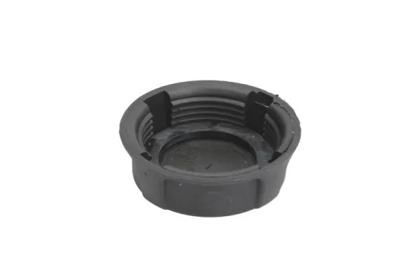 Botella expansion Renault (RVI) 5010141465 precio, desde 102,52 EUR
