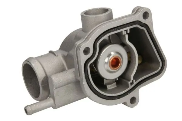 D2M008TT Thermotec Termostato de agua