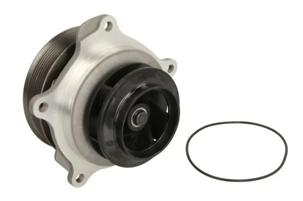 Bomba de agua D328 Dolz