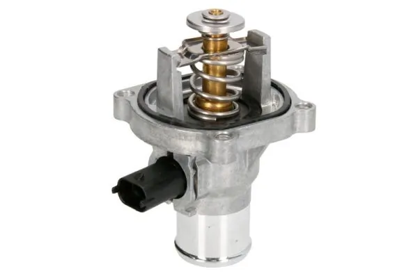 D2X015TT Thermotec Termostato de agua