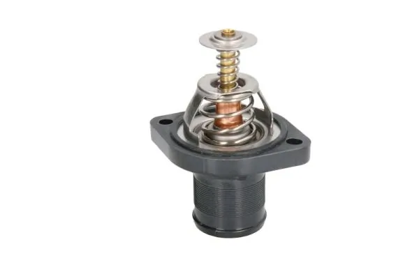 Termostato para Fiat Scudo 220P
