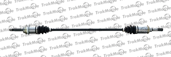 301258 Trakmotive/Surtrack