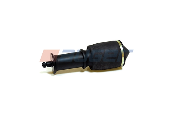 20096 Auger