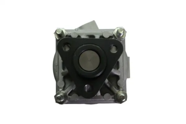 Comprar 550039 Lauber Bomba servodireccion