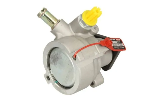 Comprar Bomba de dirección Peugeot Expert  224