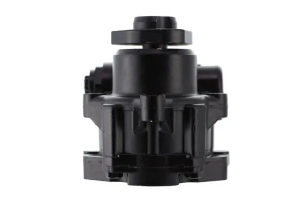 Comprar 559123 Lauber Bomba servodireccion