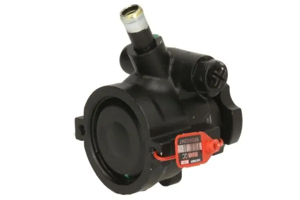  Bomba de dirección Peugeot 405 1