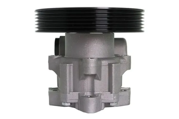 Comprar Bomba de dirección Citroen C5 I DC