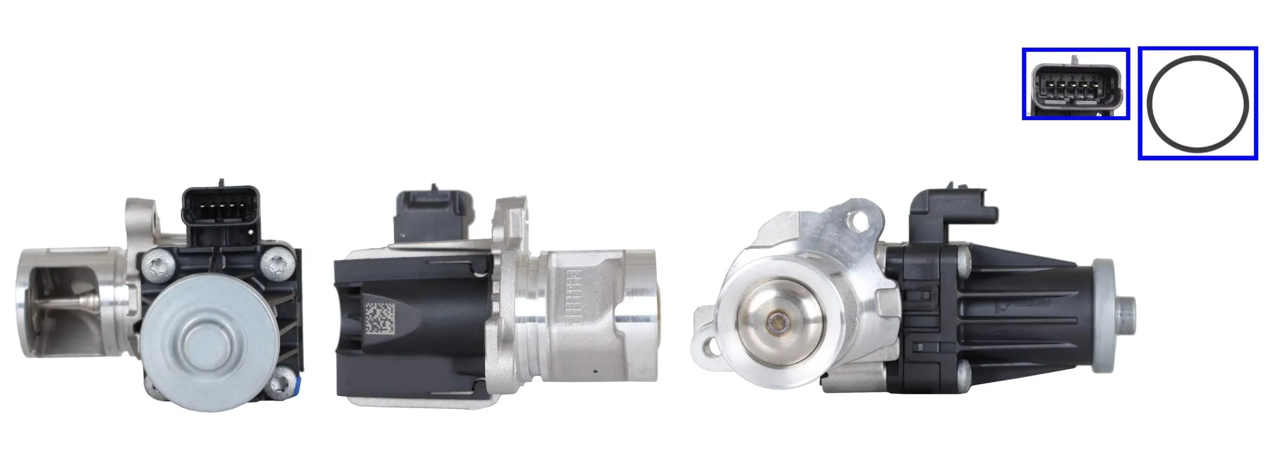 LEV2214 Lucas