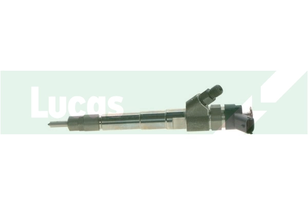 LDFB0260 Lucas