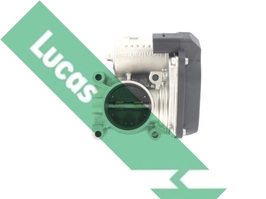 LTH451 Lucas