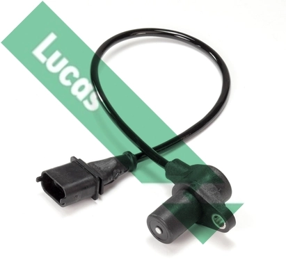 SEB1634 Lucas