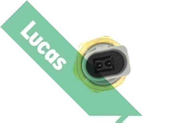 SOB986 Lucas