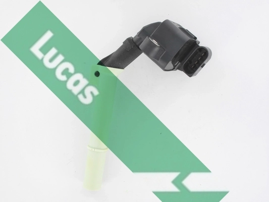DMB5054 Lucas