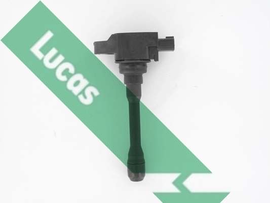 DMB5017 Lucas