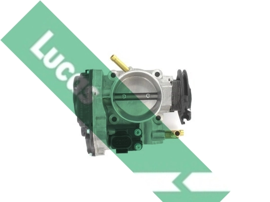 LTH415 Lucas