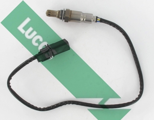 LEB5461 Lucas