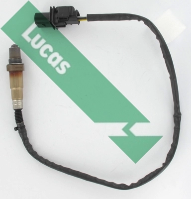 LEB5467 Lucas