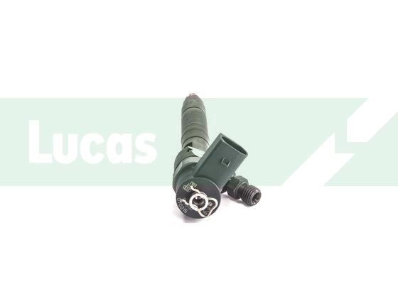 LDFB0122 Lucas