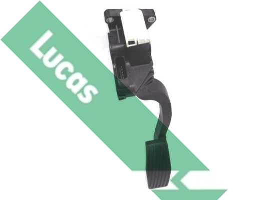 LSP6504 Lucas