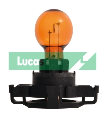LLB186A Lucas
