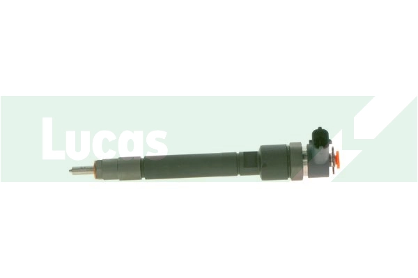 LDFB0171 Lucas
