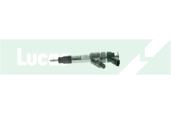LDFB0254 Lucas